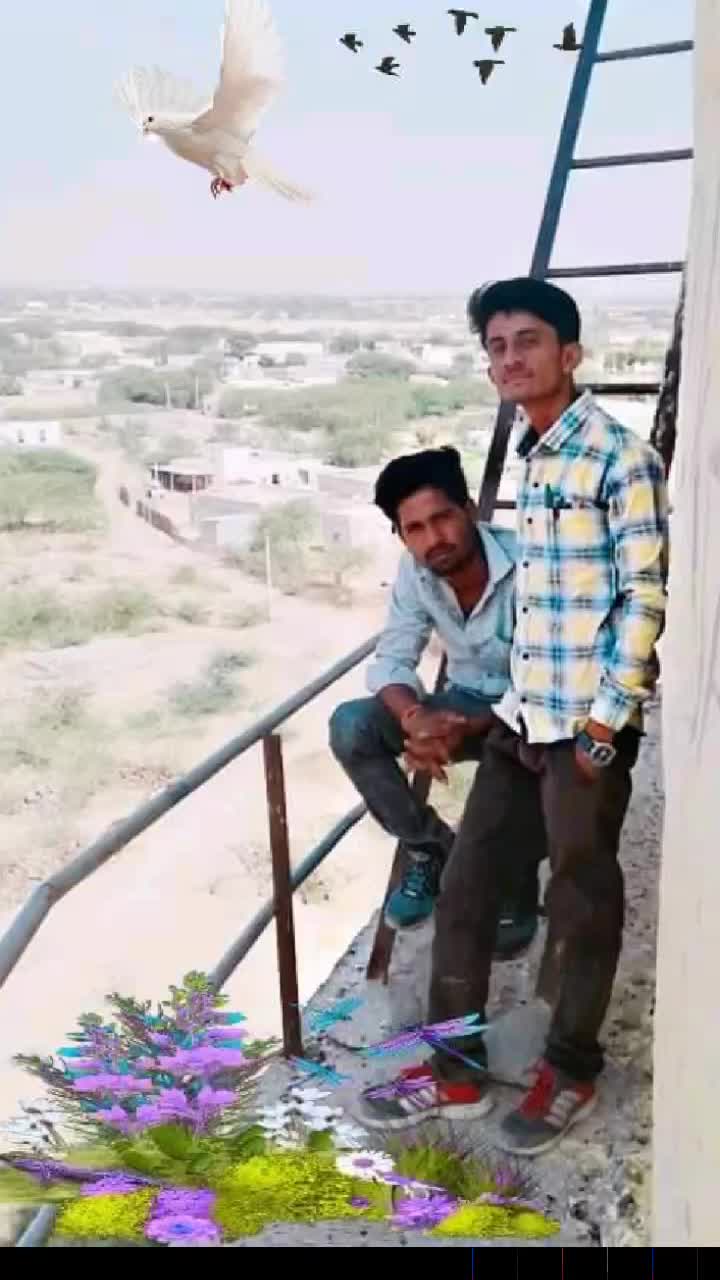 @iran janj 18