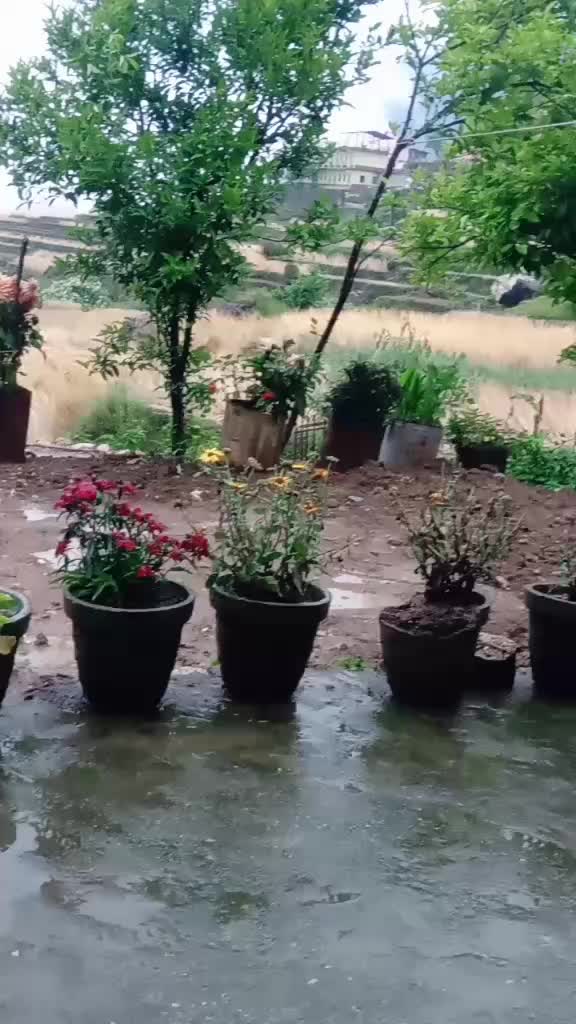 @भौर्याल जी😍❤️