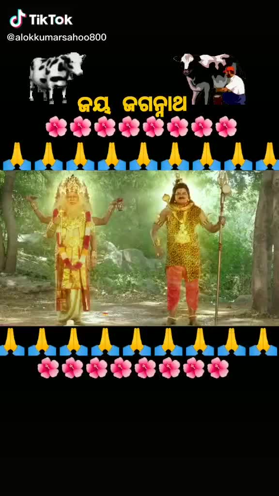 @Dusu985312