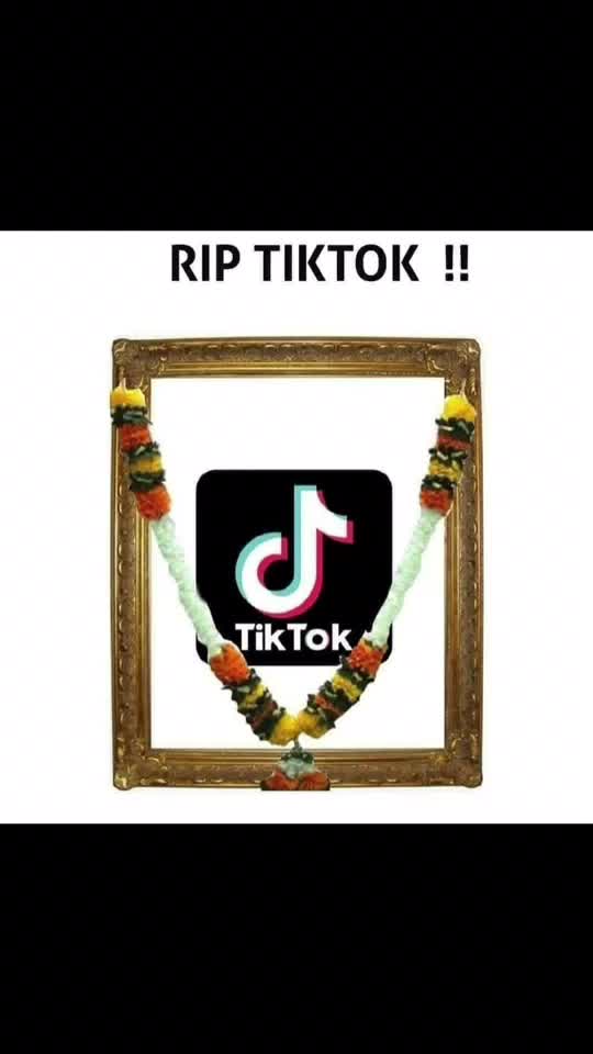 @user86176676433