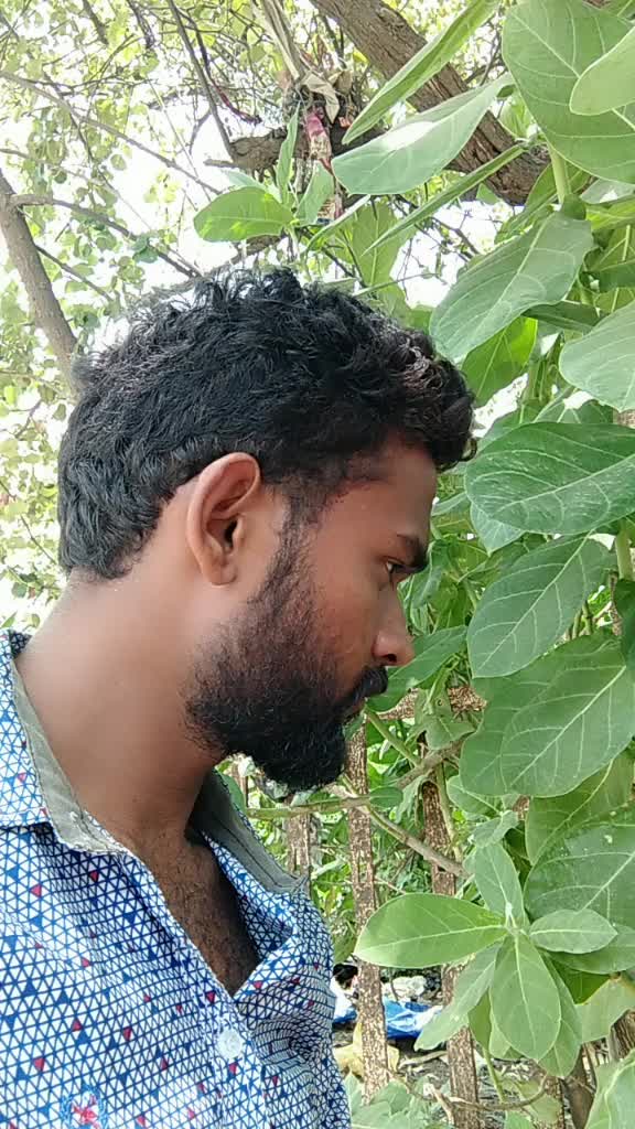 @Goldy Raj Sagar