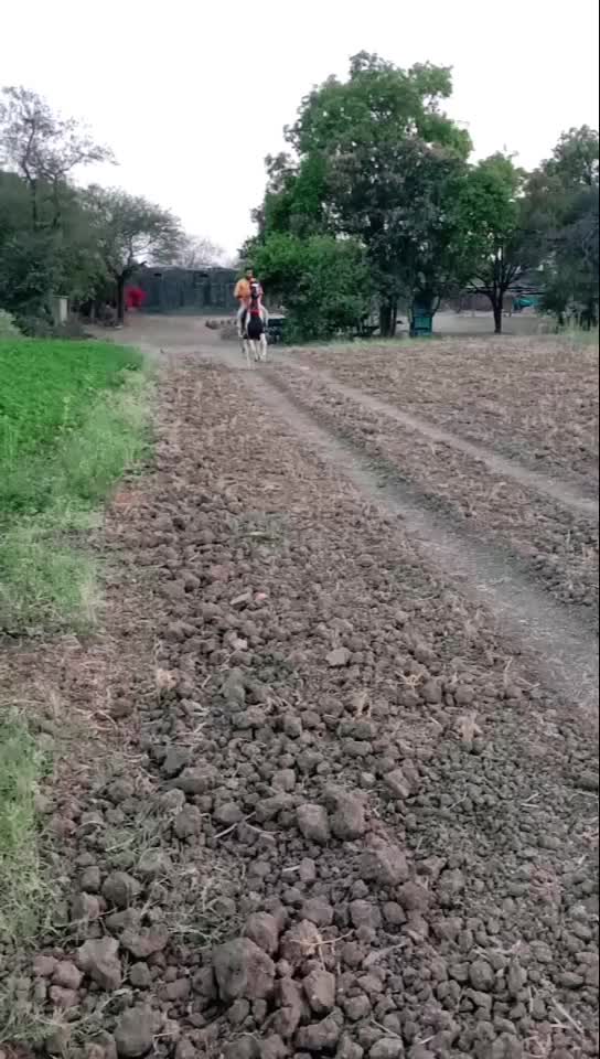 @vajesing Gurjar