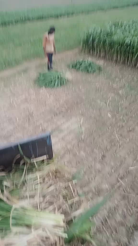 @ਤਾਰਾ ਸਿੱਧੂ