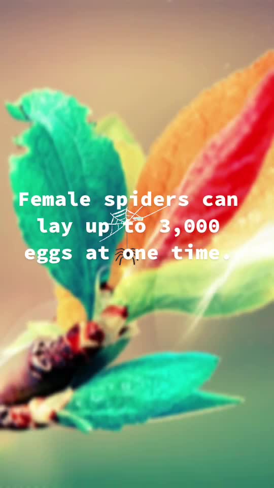 @user22210332786