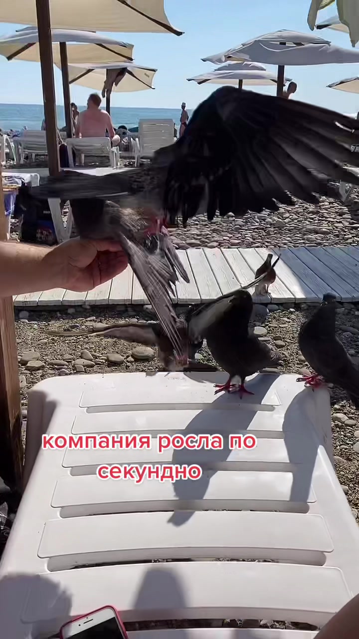 @Отдых Дикарями
