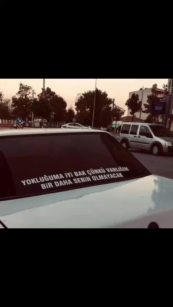 @hevidar01