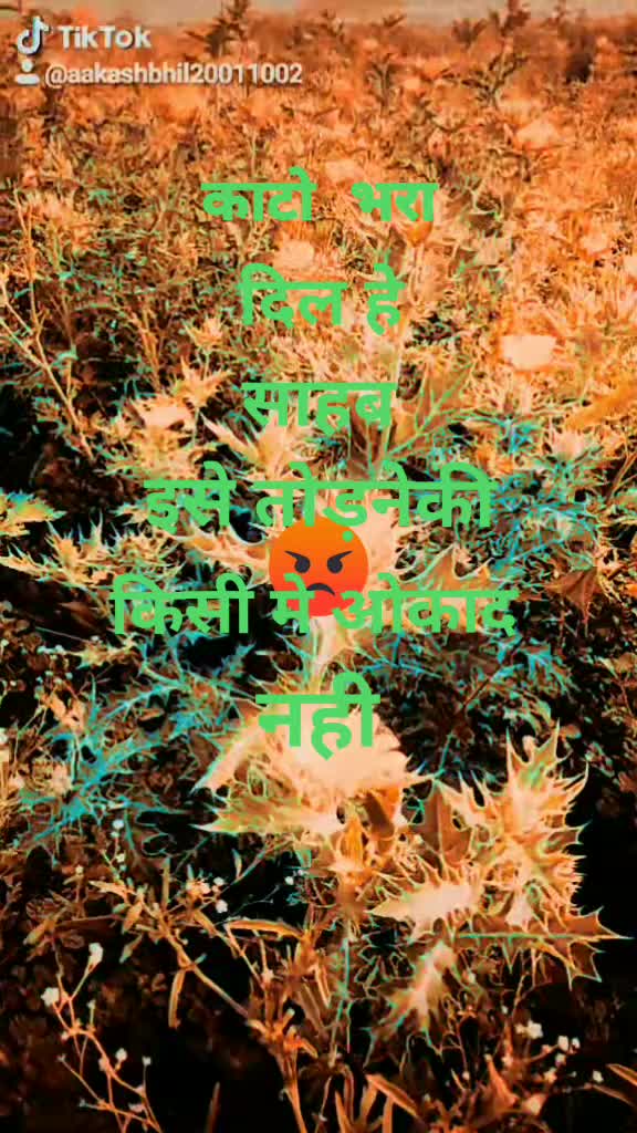 @aakash wagh 20011002