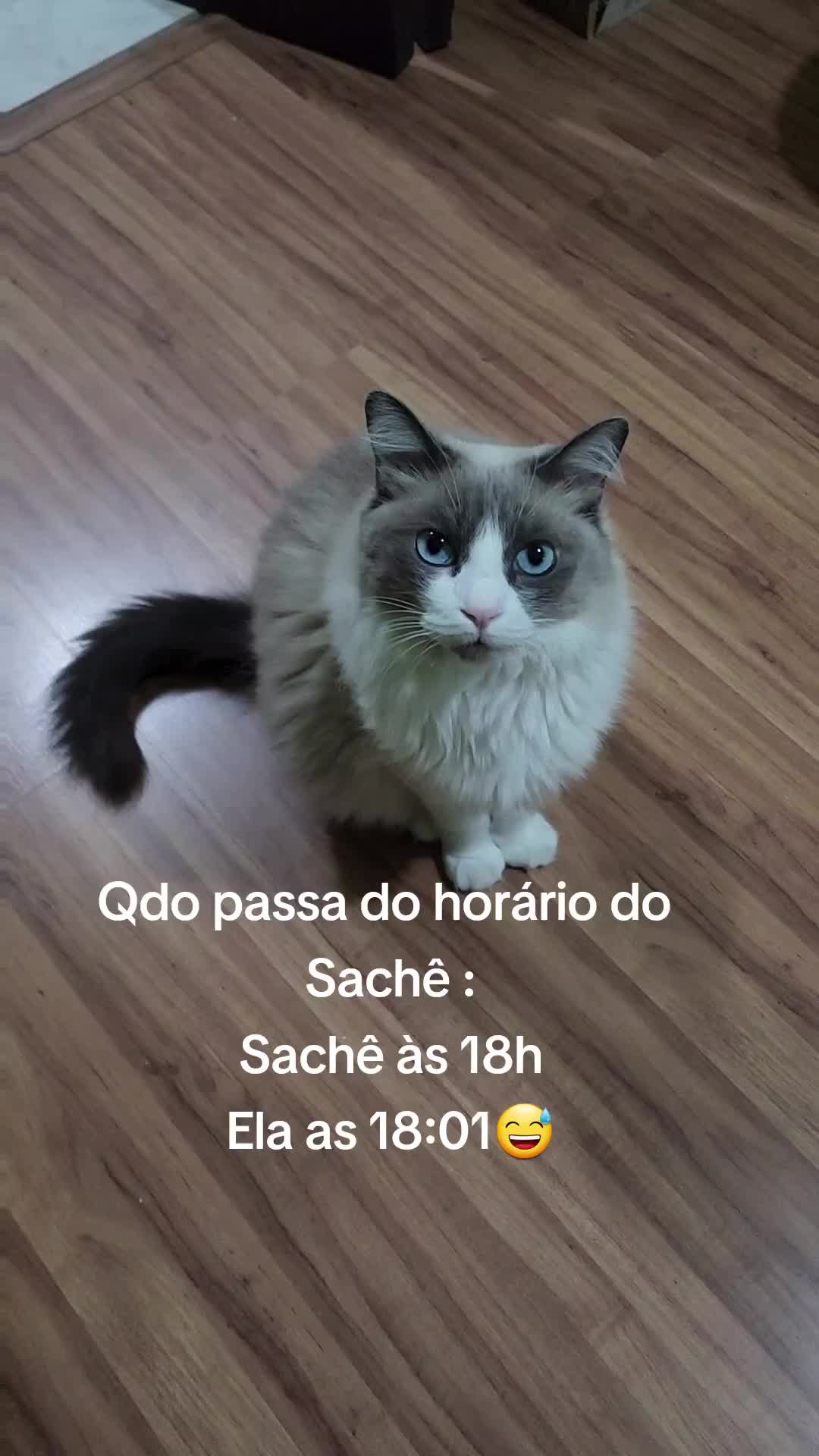 @Regina Oliveira