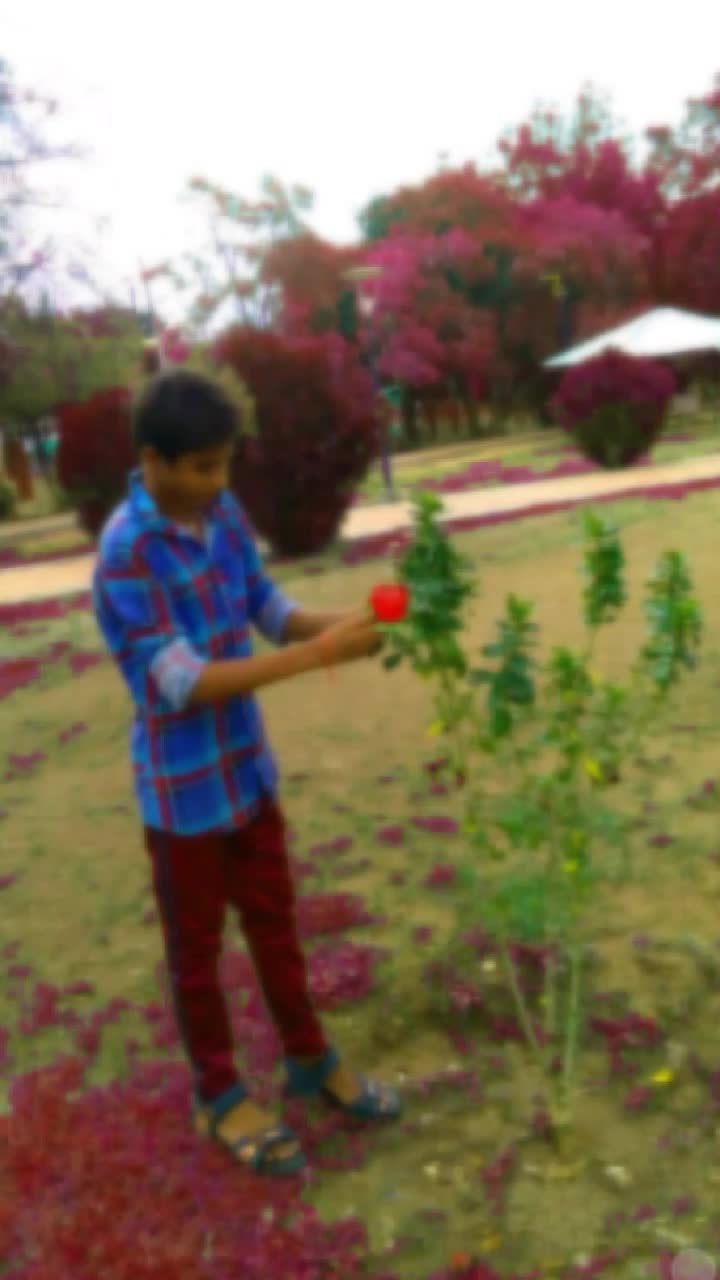@banothbablu143
