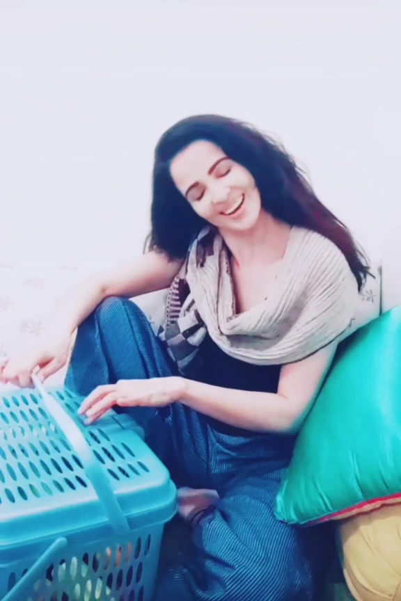 @rukhsarrehman