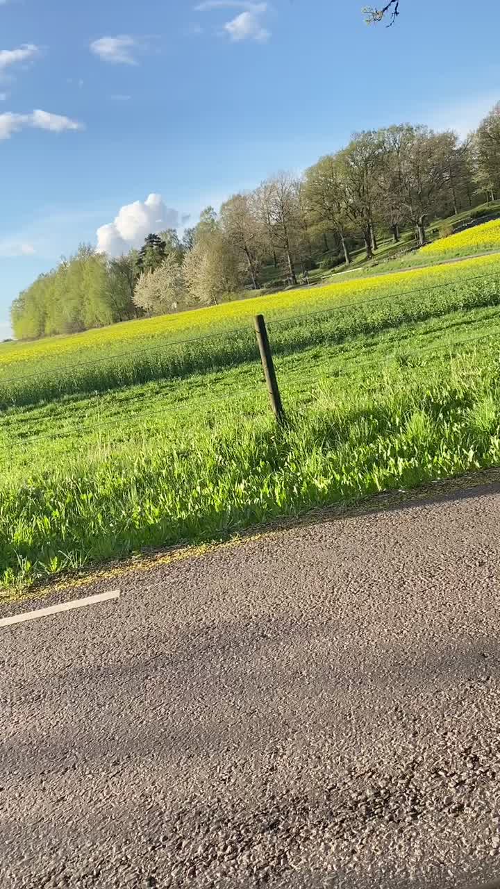 @Carl-Johan Bloom