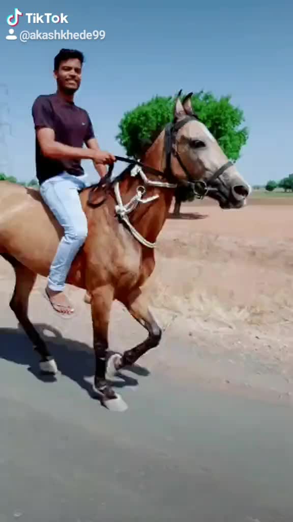 @Akash Khede