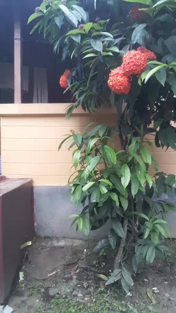 @Mintu Kar