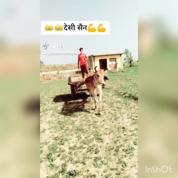 @luckysain99