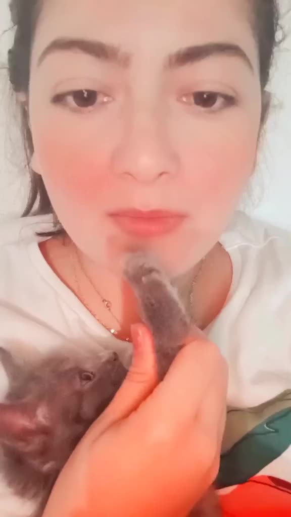 @Gato Orión