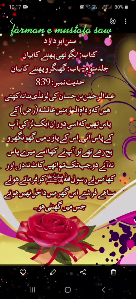 @Max Info