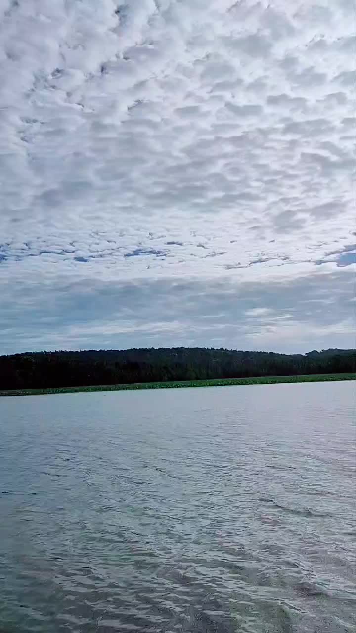 @uosᴉɐᗭ u&forall;