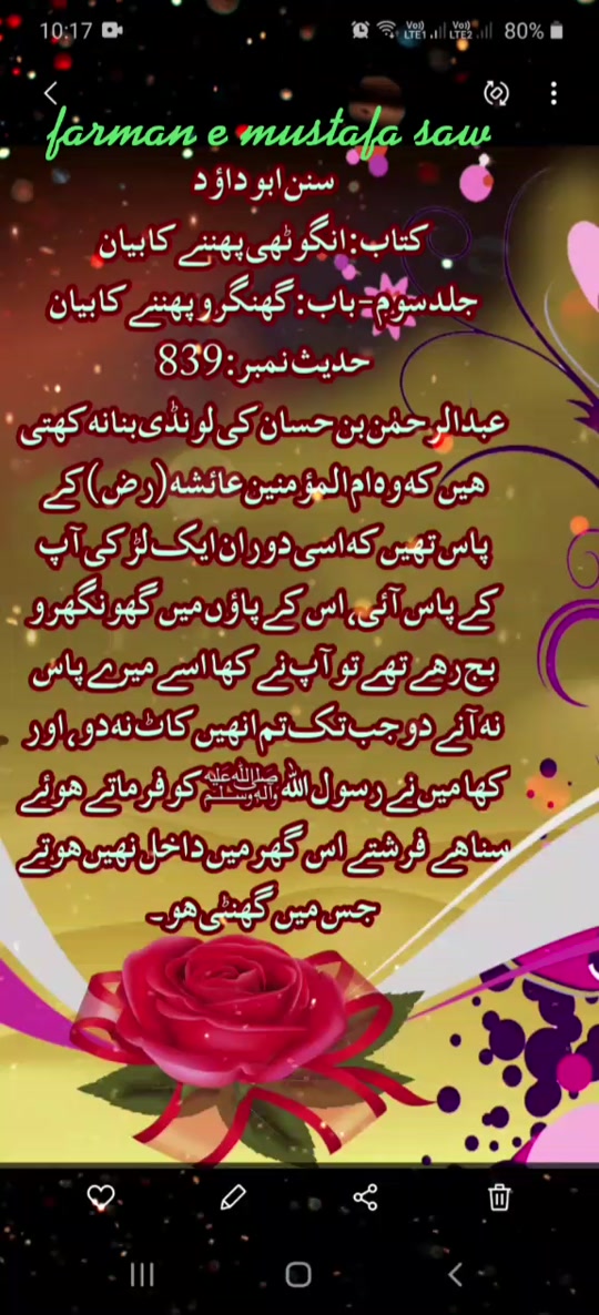 @Max Info