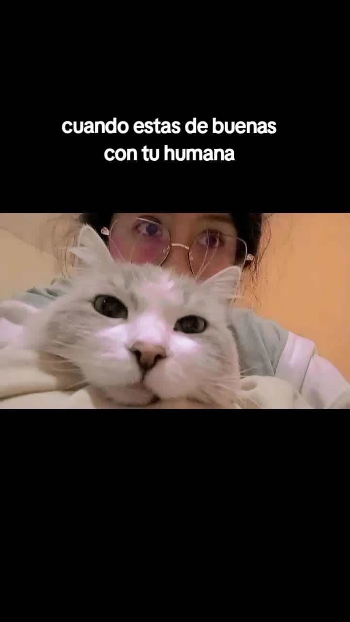 @Vicayquipa