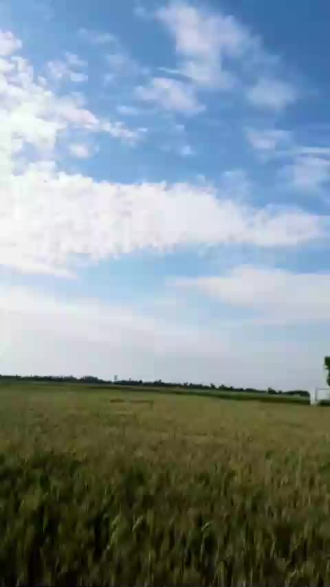@pindo Bhar Mitra Da Dera