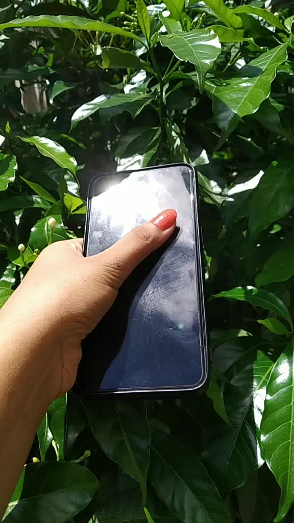 @supriyachoudhury