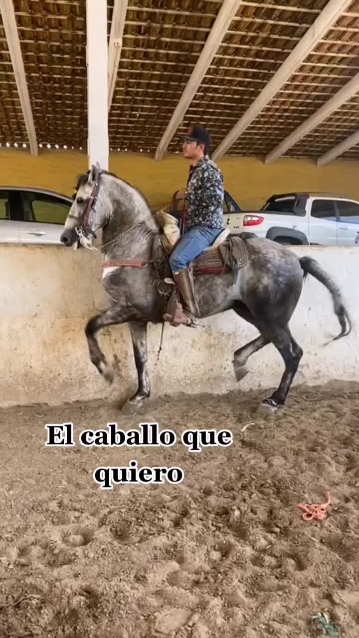 @alexis_lozano24