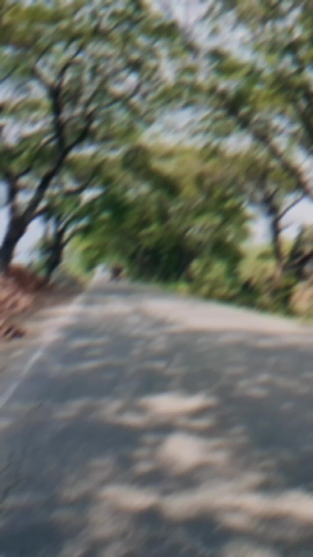 @🦋জা্ঁতিঁর্ঁ জা্ঁমা্ঁই🦋: )🤗