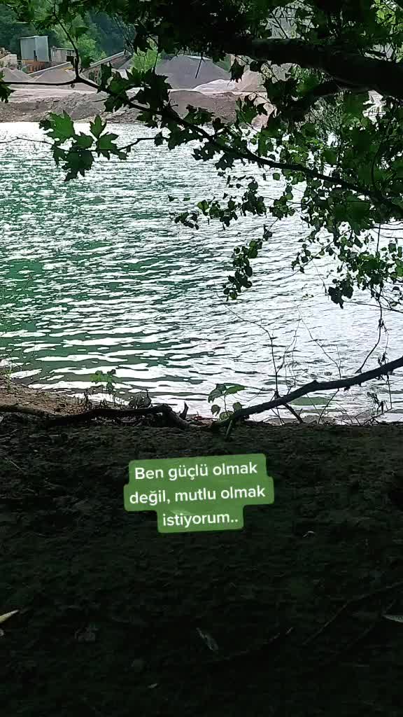 @🐞SUNA🐞