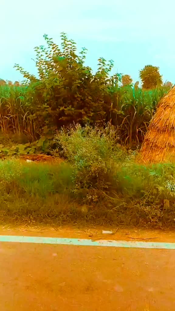 @its_sonu