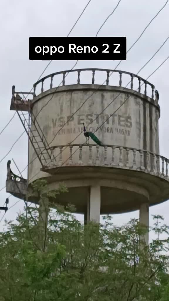 @gsaikiran00