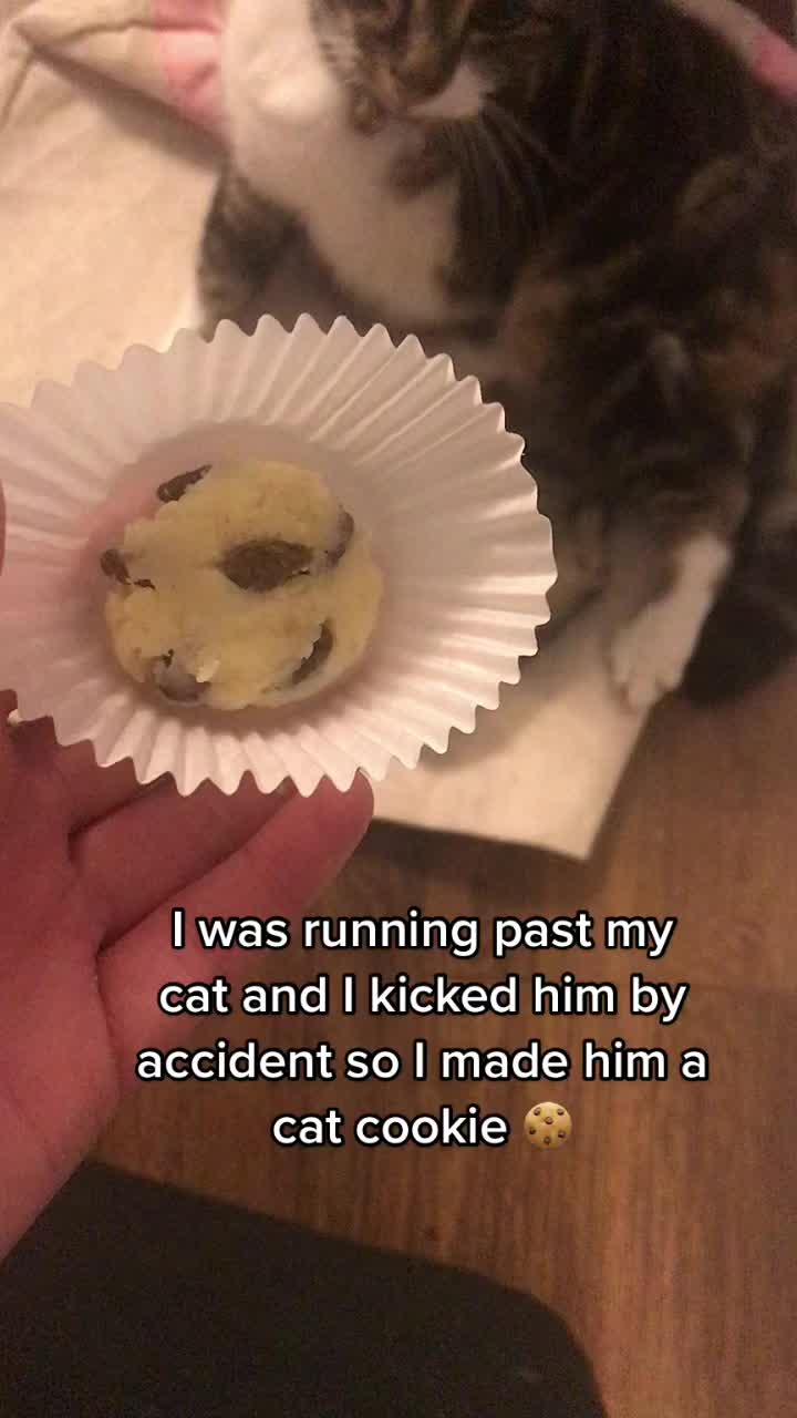 @๐ช๐M a i s y ๐๐ช