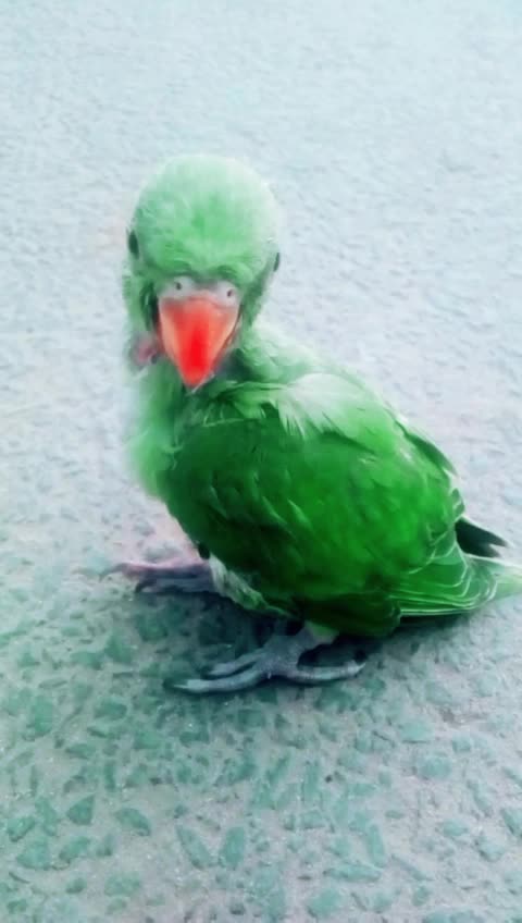 @viveks6382
