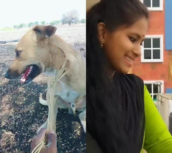 @Waman Jadhav