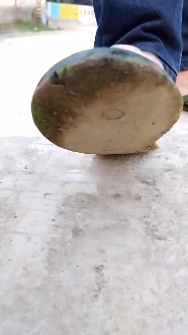 @jassaulakh65