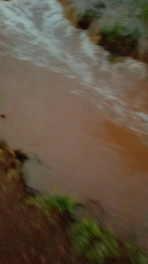 @ಗಡಿನಾಡು ಗುಂಡ್ಲುಪೇಟೆ