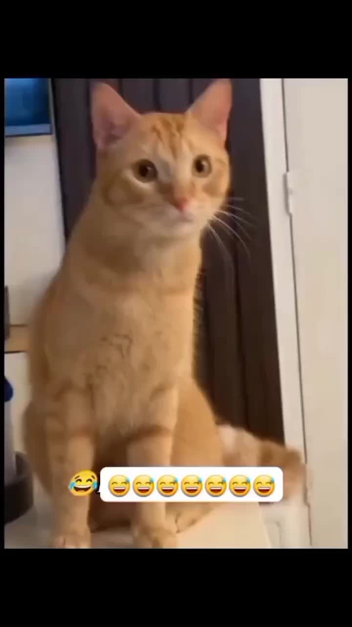 @SLJJ