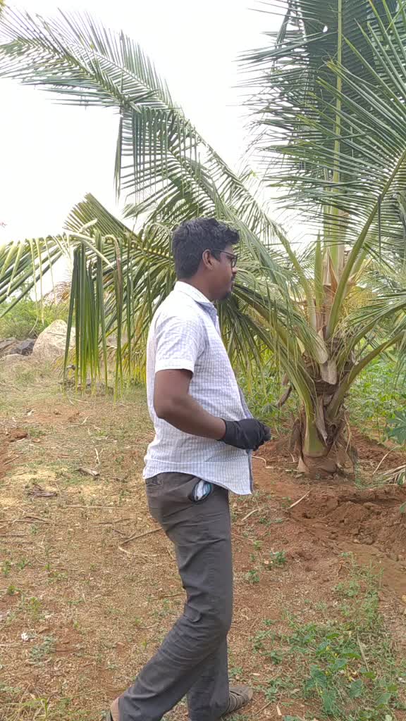 @இராவனண்