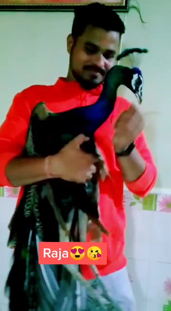 @Sagar Patil