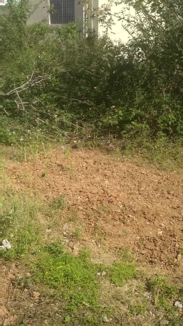 @ASHISHKUMAR763