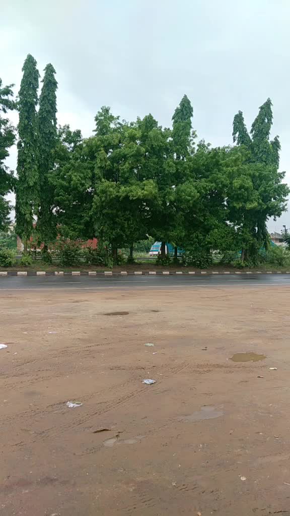 @odia toka jitan