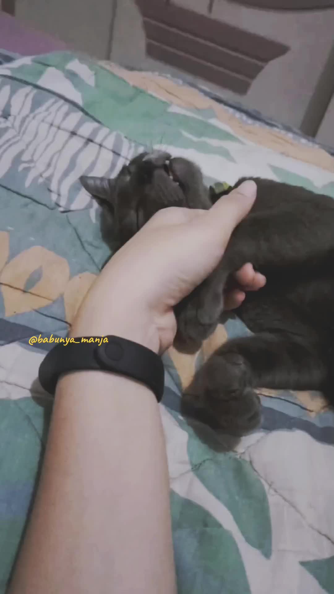 @Keluarga Manja R
