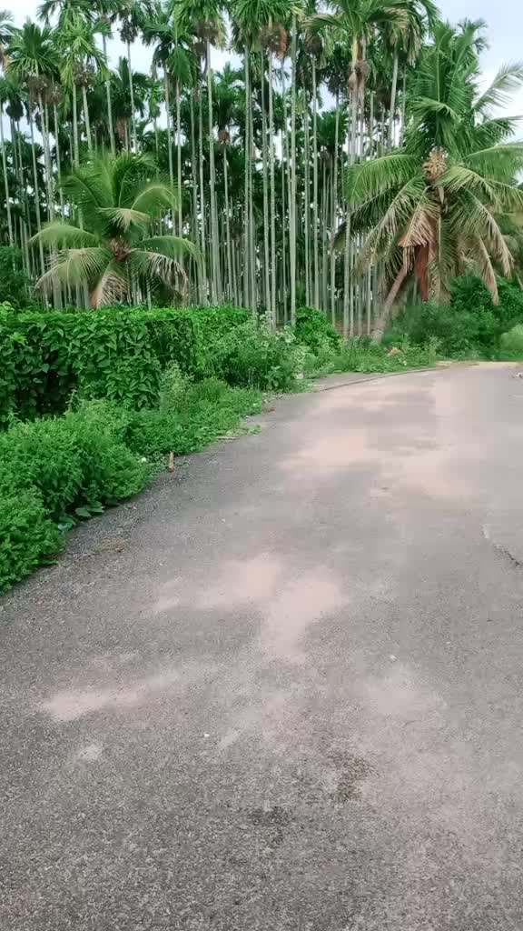 @Roshanroni12