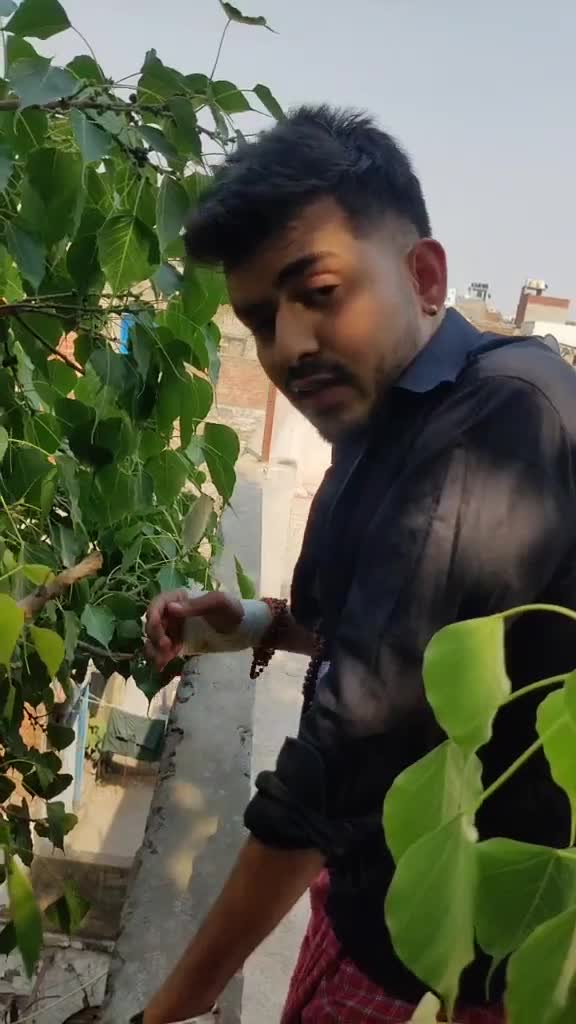 @Yogesh Chola