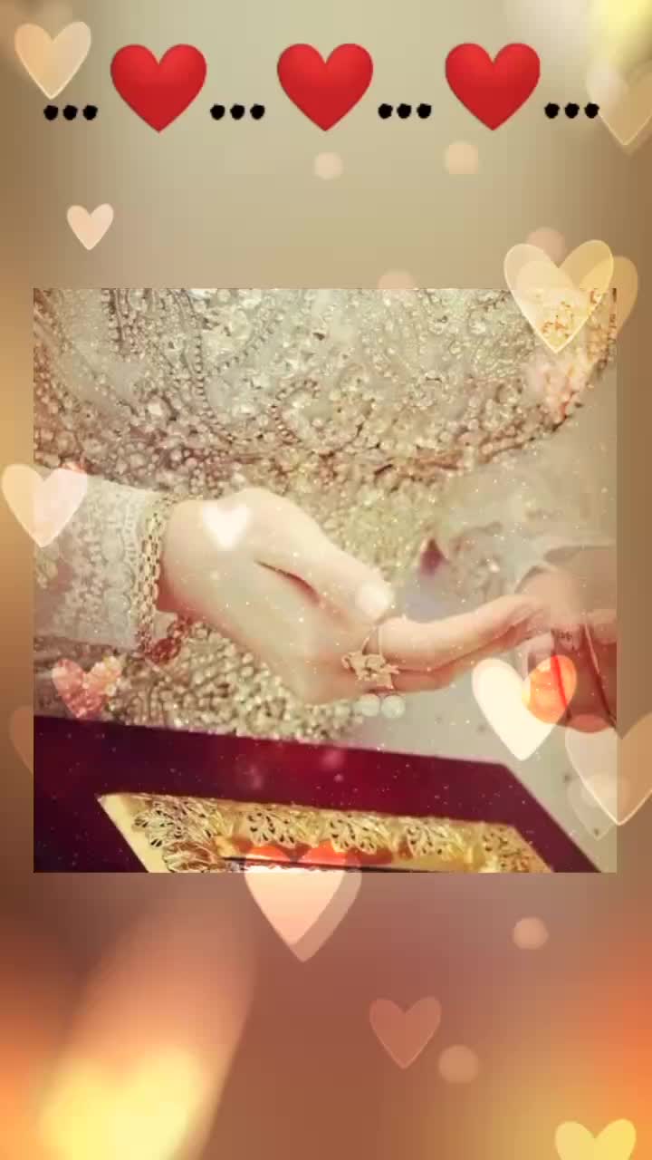 @💕Rashid Alam💕