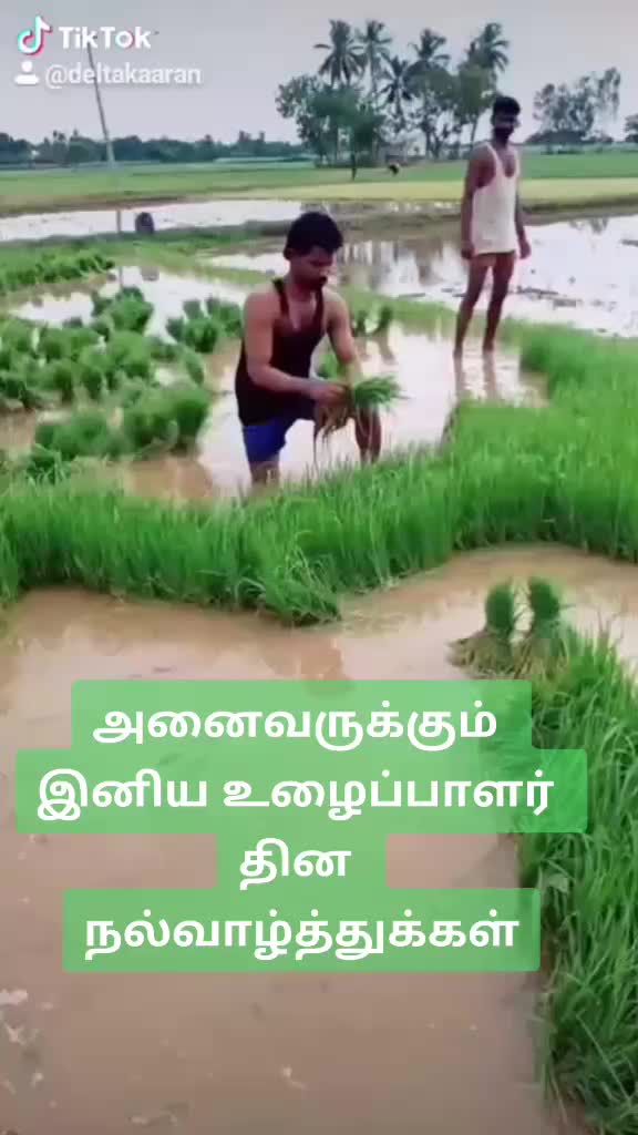 @தஞ்சை தினேஷ்