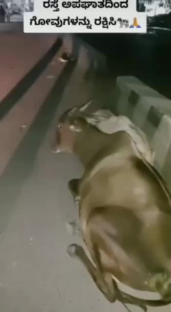 @ಕನ್ನಡತಿ