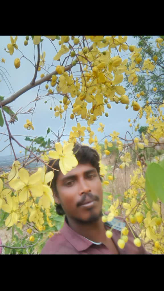 @Pegolla Gangadri