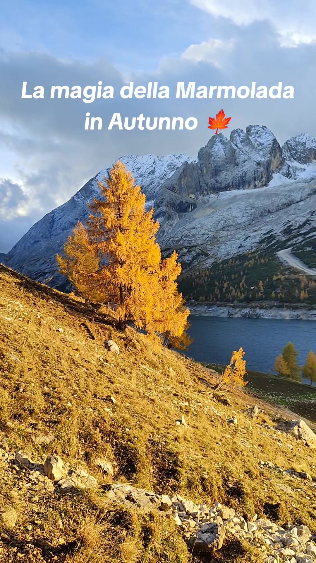 @Montagna Estate