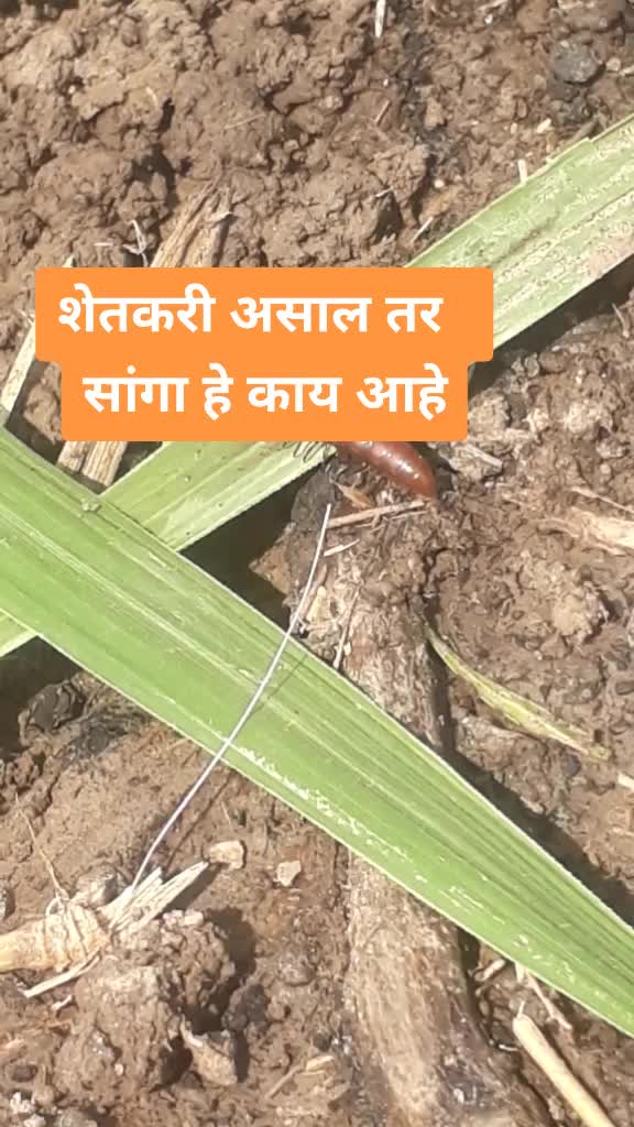 @Rameshwar vidhate