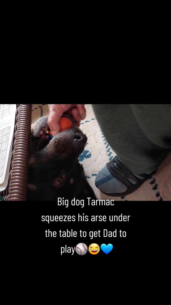 @Thesepupsthough
